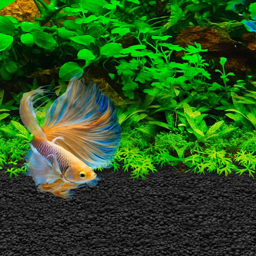 Sustrato para Bettas Fluval Stratum - Imagen 4
