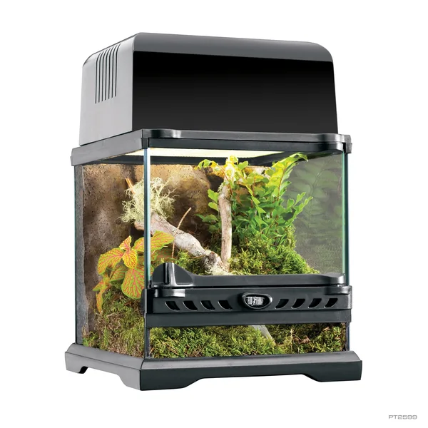 Terrario de cristal Exo Terra Nano