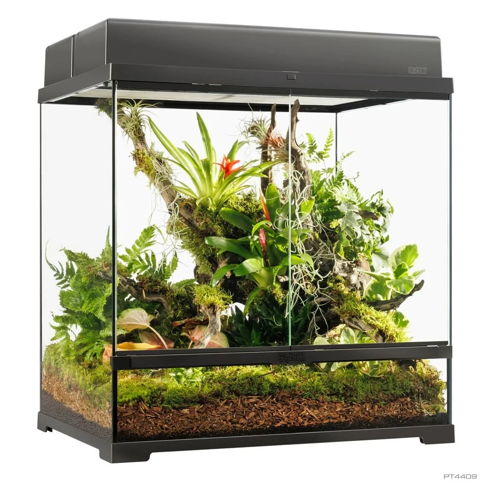 Terrario Exo Terra Pro Terrarium Medium 60x45cm - Low/Tall/Wide - Cristal Profesional Reptiles - Imagen 2