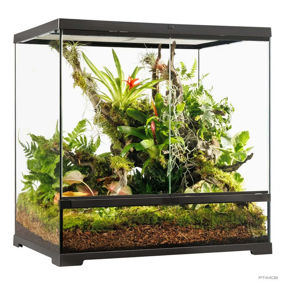 Terrario Exo Terra Pro Terrarium Medium 60x45cm - Low/Tall/Wide - Cristal Profesional Reptiles